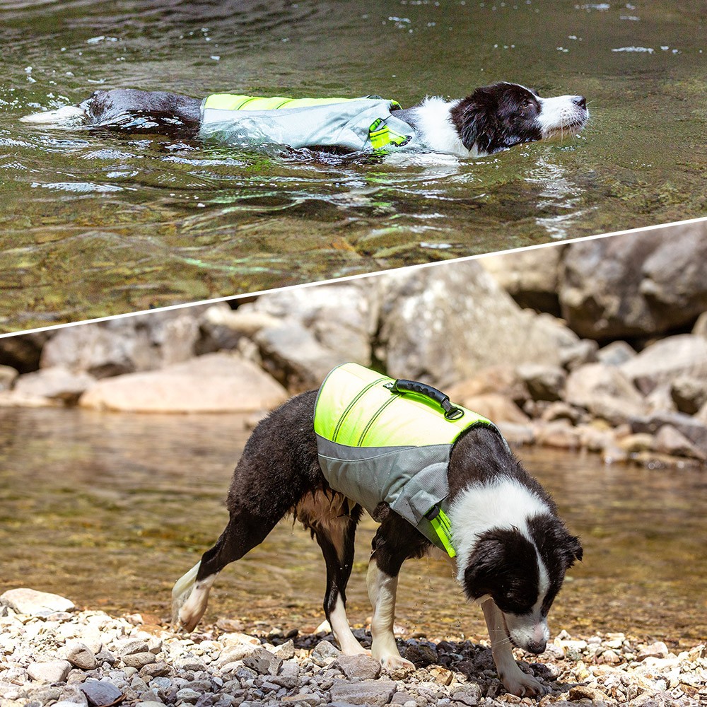 期間限定特価 犬 ライフジャケット 小型犬 中型犬 大型犬 高品質 Tl Gear 海外正規品 Www Sagamorepub Com