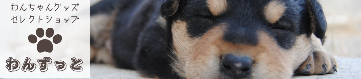 わんずっとぺっと ヘッダー画像