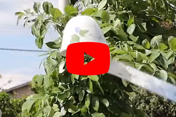 ドラゴンプレートのYoutube動画