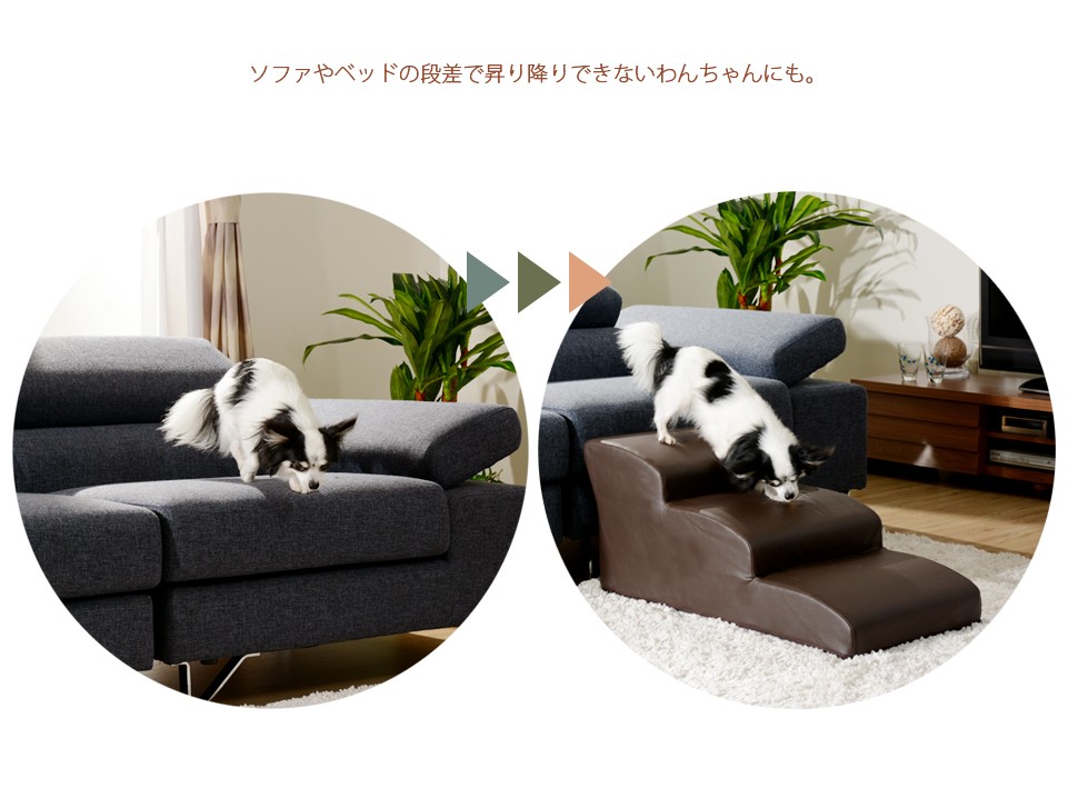 完全送料無料 ホームテイスト Sh 07 Dgs 3 Bk 日本製ドッグステップpvcレザー 犬用階段3段タイプ Lonis レーニス ブラック Supplystudies Com