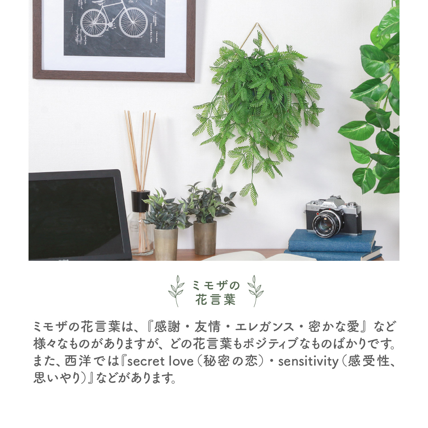 不二貿易（Fuji Boeki） フェイクグリーン ミモザ ハンギング グリーン