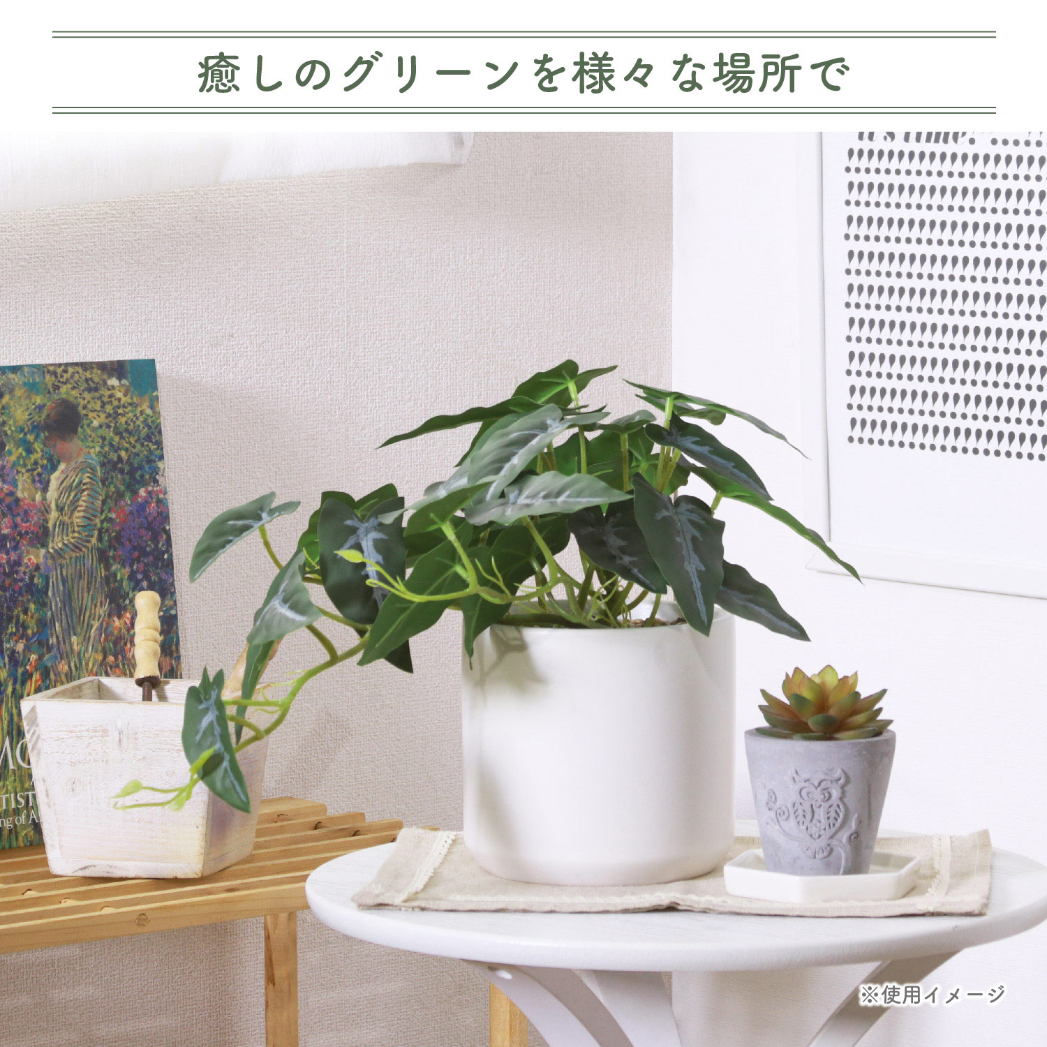 不二貿易（Fuji Boeki） フェイクグリーン アロカシア セラミック