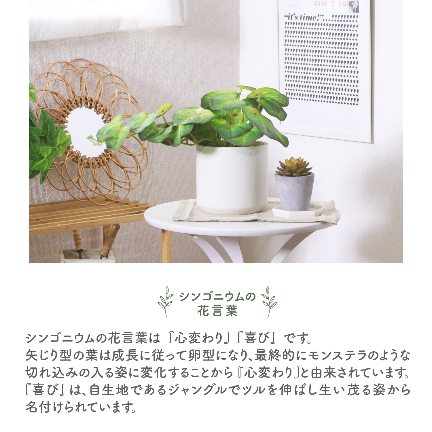 不二貿易（Fuji Boeki） フェイクグリーン シンゴニウム セラミック