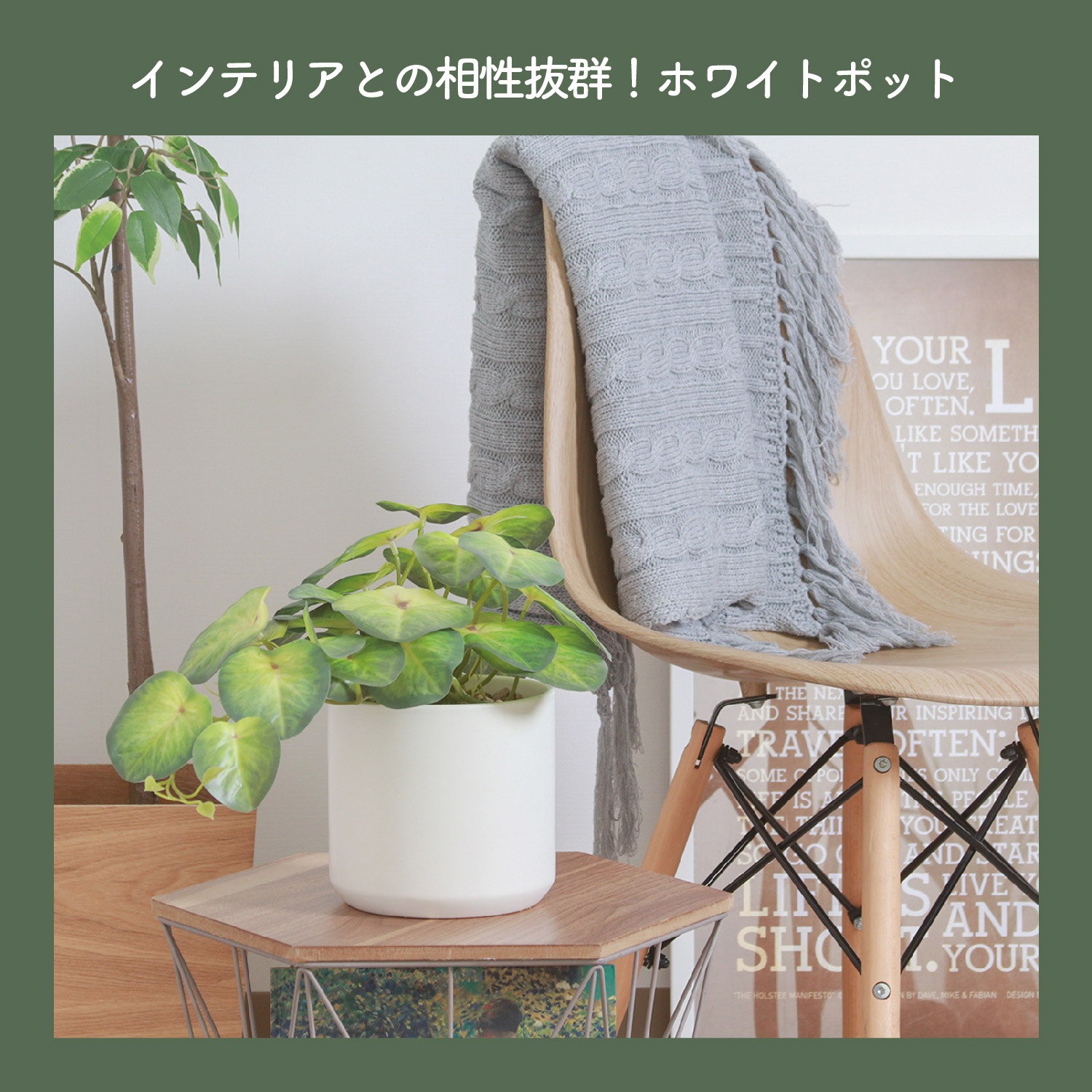 不二貿易（Fuji Boeki） フェイクグリーン シンゴニウム セラミック