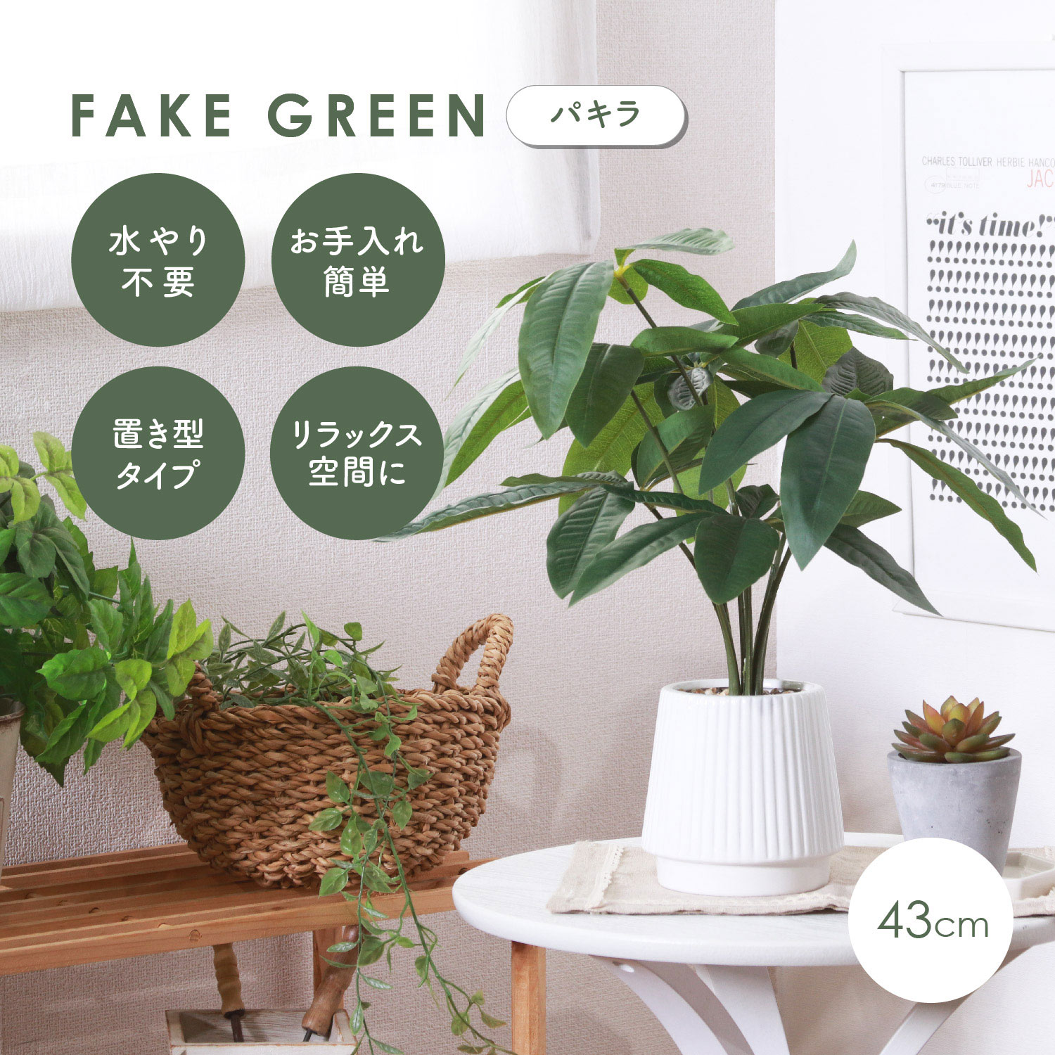 不二貿易（Fuji Boeki） フェイクグリーン パキラ セラミックポット