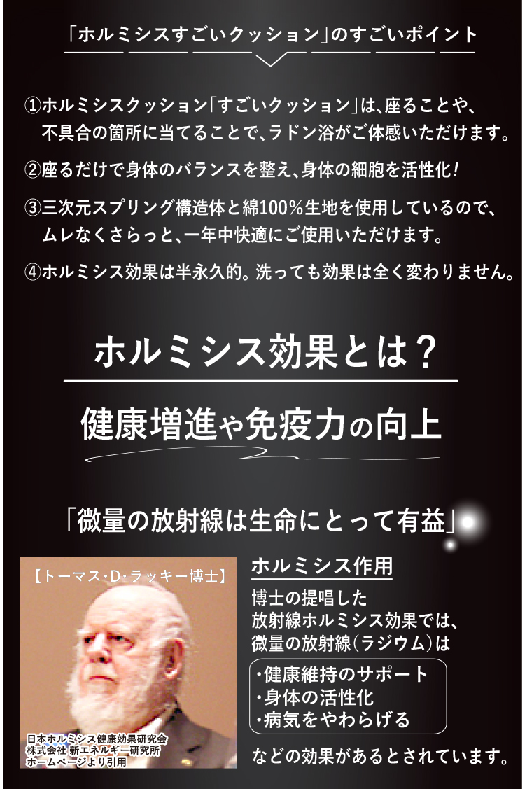 日本イオン協会認定】すごい シートクッション 約40×40×6cm ホルミシス