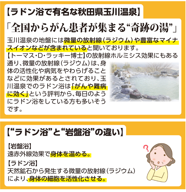 すごいクッション ブレスエアー ホルミシス効果 遠赤外線 マイナスイオン 玉川温泉 ラジウム 鉱石 北投石 約40×40×高さ4cm 日本製 綿100％