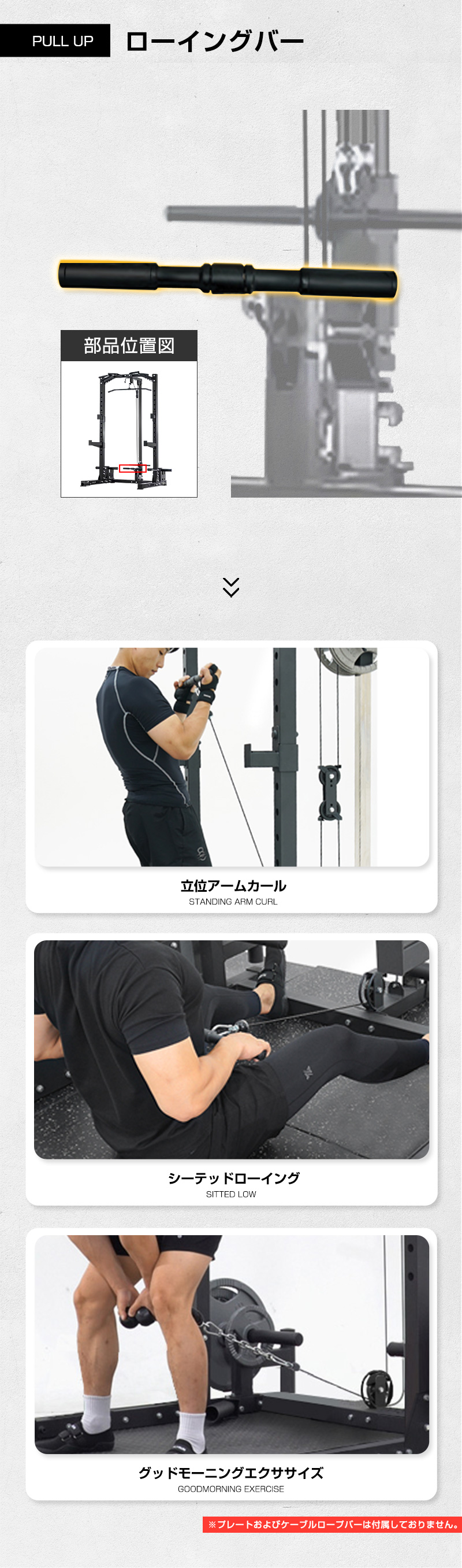 WASAI(ワサイ) ZY5022専用オプション ラットプルダウン ラット