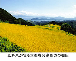 京都府宮津地方の棚田