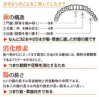 日本人の歯型