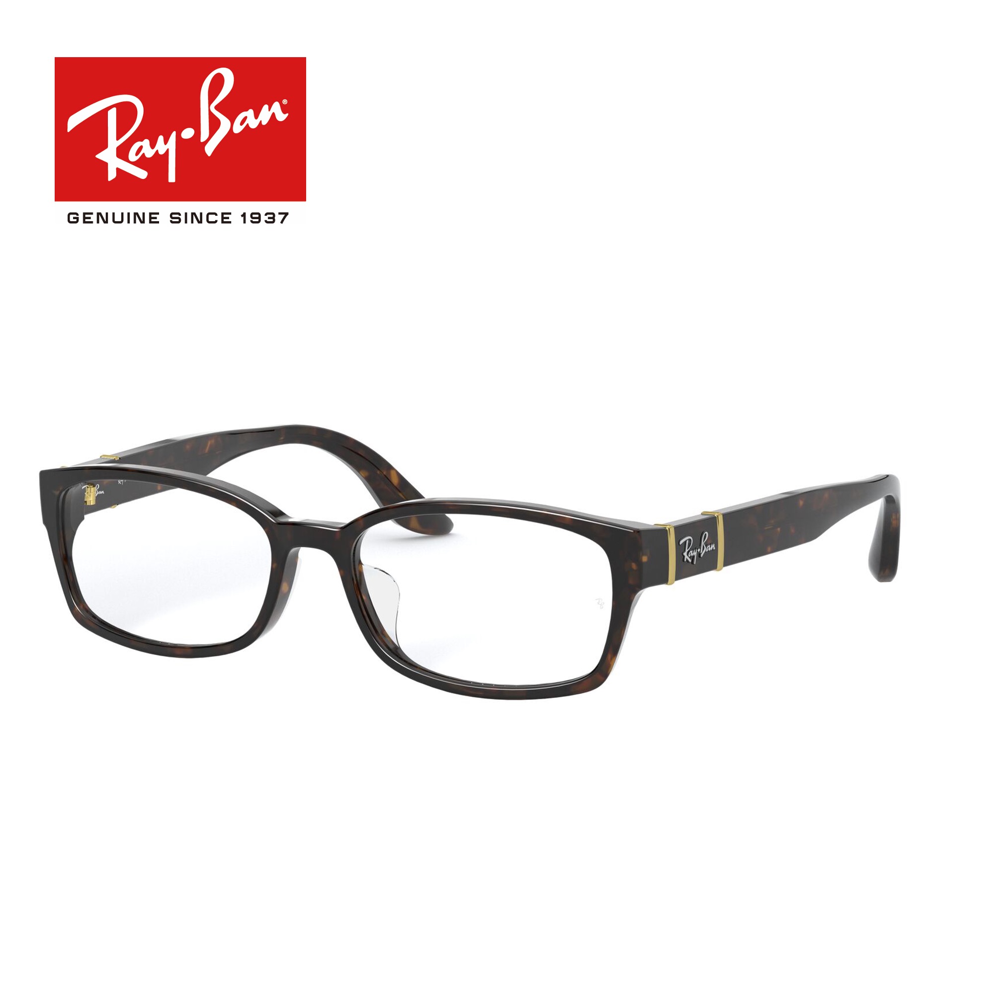 レイバンフレーム 【国内正規品】 眼鏡 メガネ Ray-Ban RX5198 2345 メガネフレーム