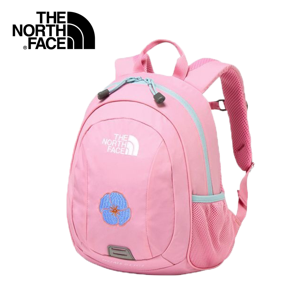 THE NORTH FACE ピンク リュック　30L ノースフェイス リュック 30L BCヒューズボックス 2 マルチ