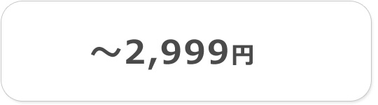 2999円以下