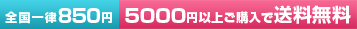 5000円以上ご購入で送料無料