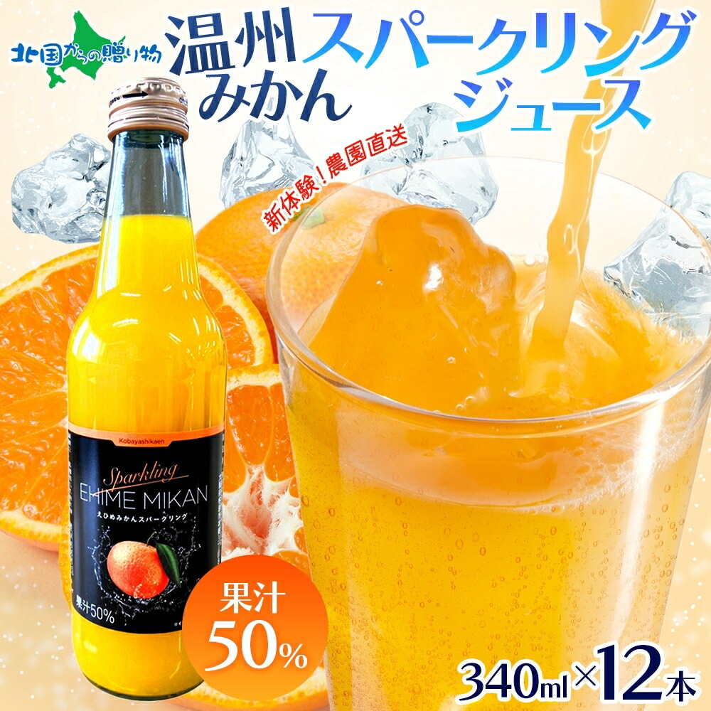 北国からの贈り物 農園直送 温州みかん スパークリングジュース 340ml