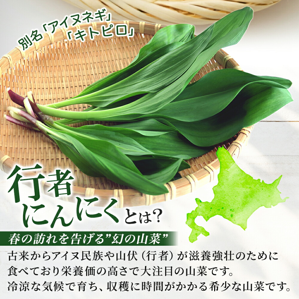 北国からの贈り物 行者にんにく アイヌネギ 1kg 北海道産 生冷蔵 4月