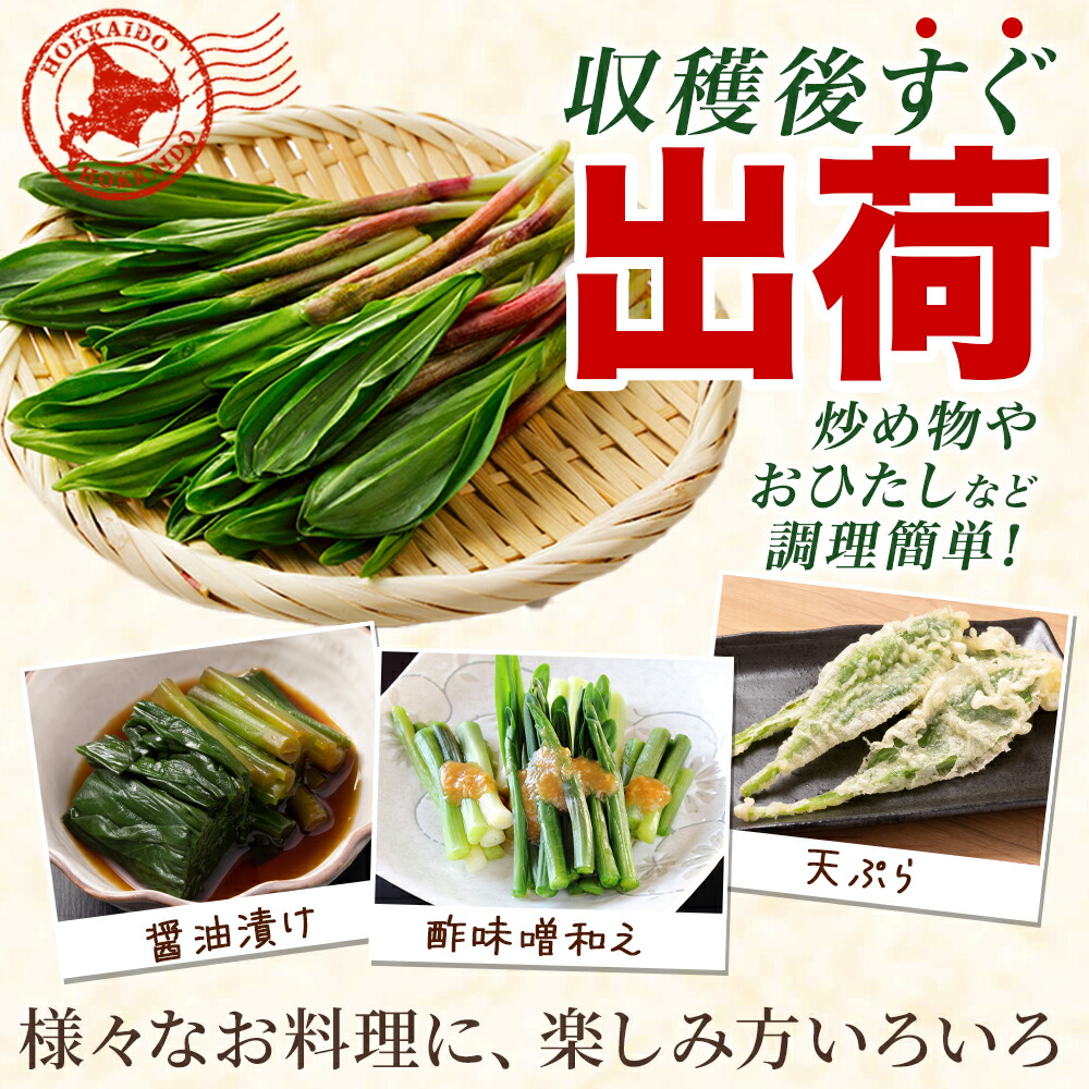 北国からの贈り物 行者にんにく アイヌネギ 1kg 北海道産 生冷蔵 4月