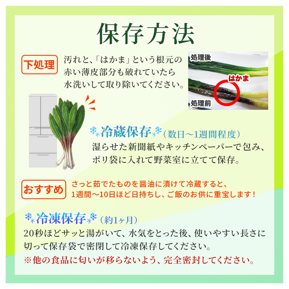 北国からの贈り物 行者にんにく アイヌネギ 1kg 北海道産 生冷蔵 4月