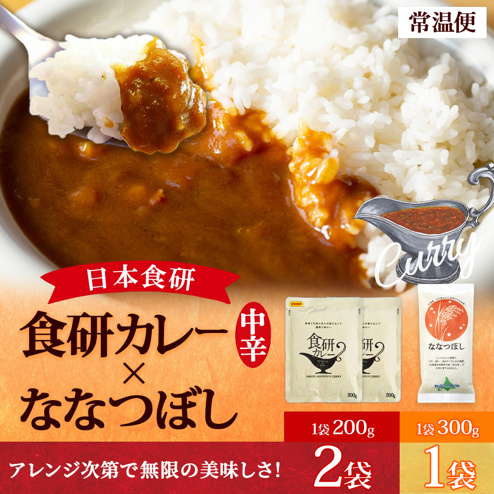 日本食研 カレー レトルト 食研カレー 200g 40袋 業務用 set レトルト