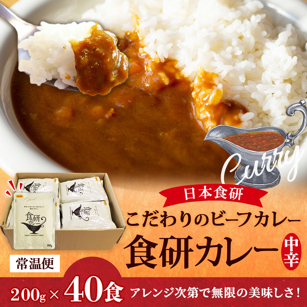 日本食研 カレー レトルト 食研カレー セット 4食 メール便 ポイント