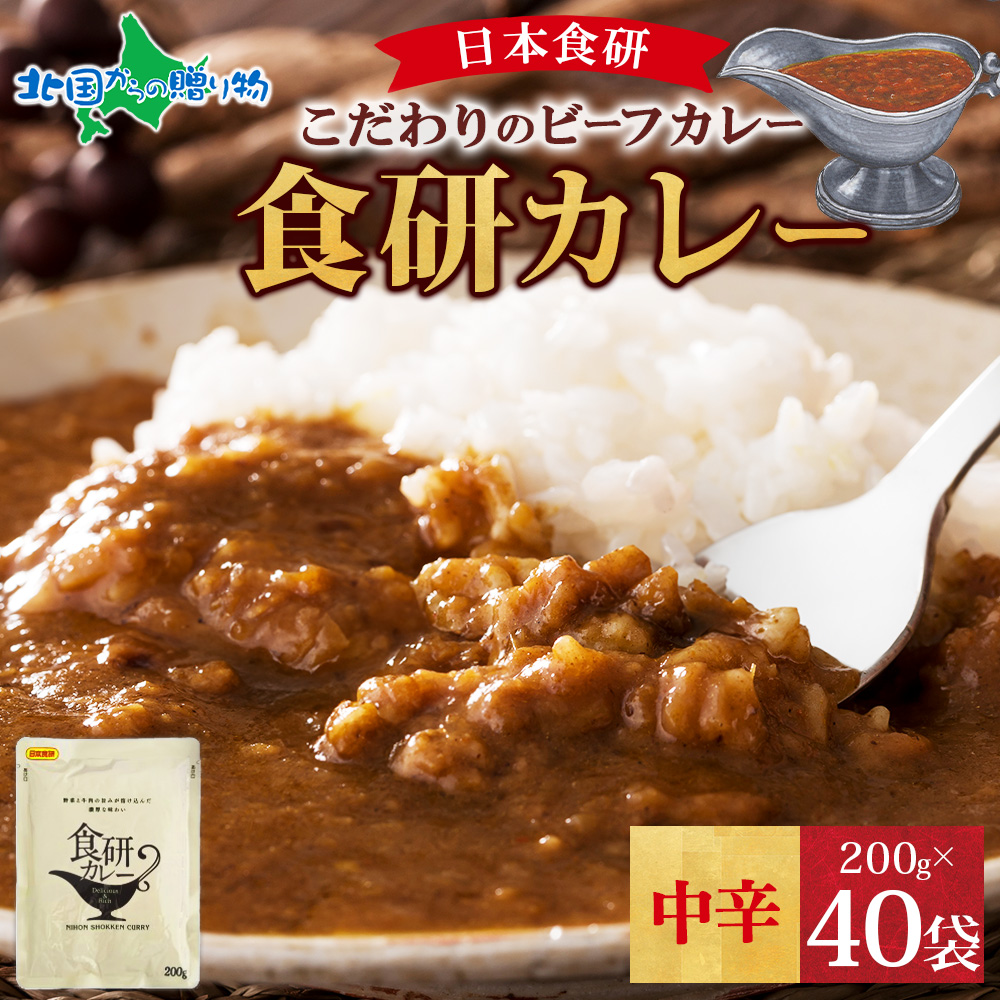 爆買 日本食研 カレー レトルト 食研カレー 200g 40袋 業務用 set レトルト食品 まとめ買い レトルトカレー セット お取り寄せ