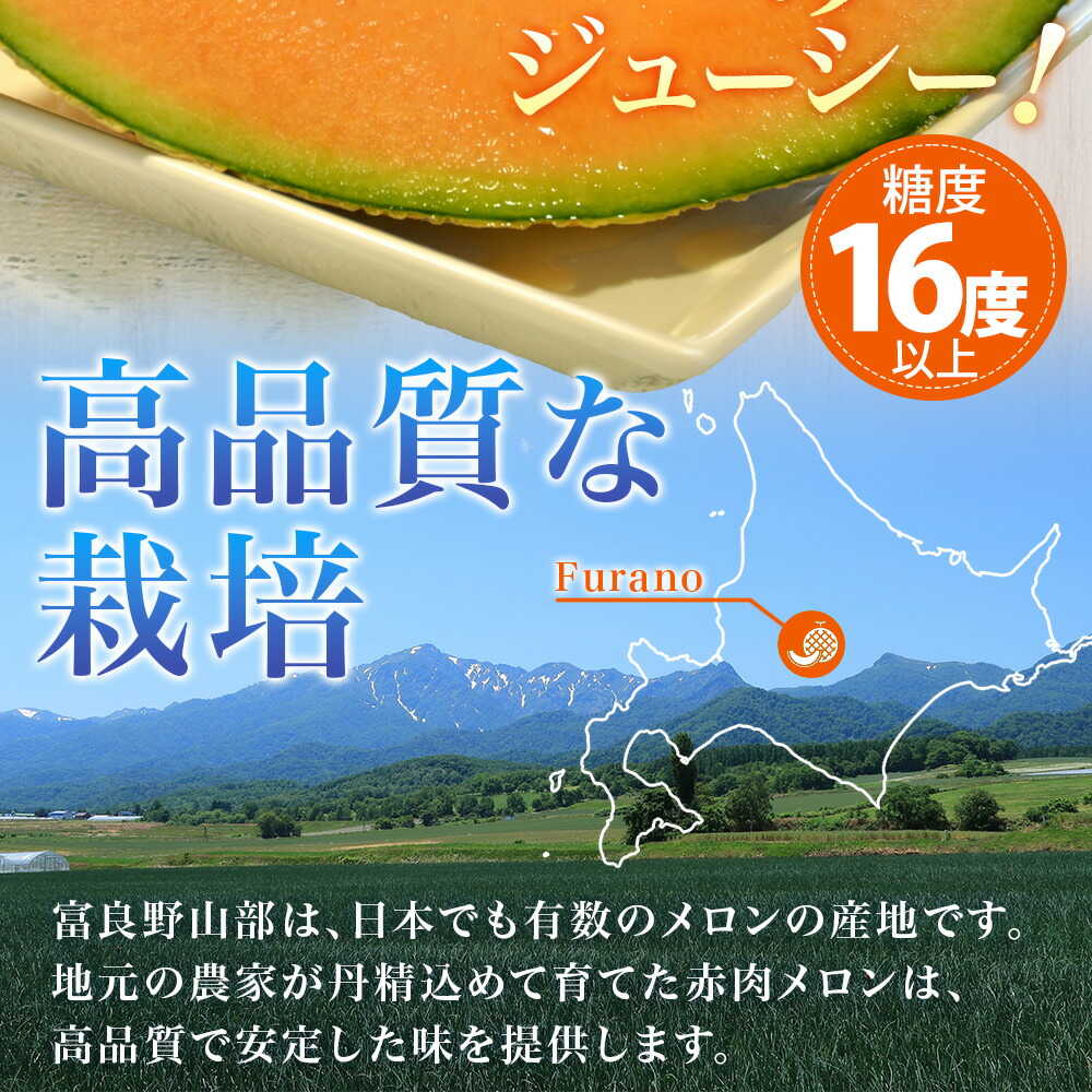 ふらのメロン 山部産 秀品 4玉 北海道 メロン 赤肉 果物 お中元 ギフト フルーツ 7月下-9月中旬｜washoku2｜05