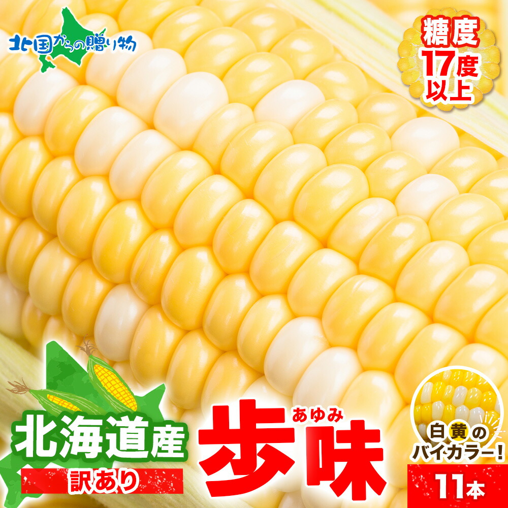 限定販売❣️粒が柔らかく甘いバイカラーとうもろこし（グラビス）皮つき バイカラーのとうもろこし「歩味（あゆみ）」を採れたて新鮮なまま直送