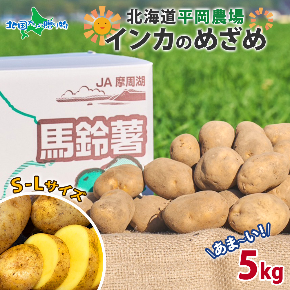 北国からの贈り物 北海道 平岡農場 インカのめざめ(SML混合) 5kg
