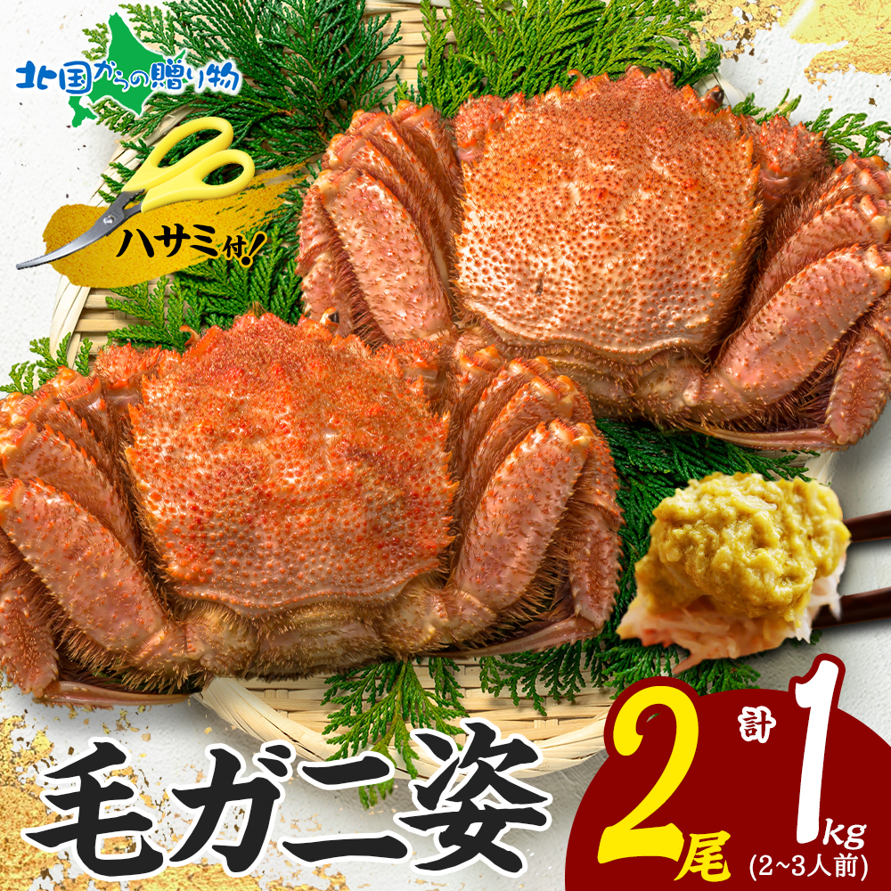 Yahoo! Yahoo!ショッピング(ヤフー ショッピング)毛ガニ 姿 2尾 計1kg 2-3人前 1尾500g ボイル 蟹身 蟹味噌 かに カニ 蟹 毛蟹 毛がに 毛カニ けがに ケガニ 茹で 蟹みそ かにみそ かに味噌 みそ 蟹肉