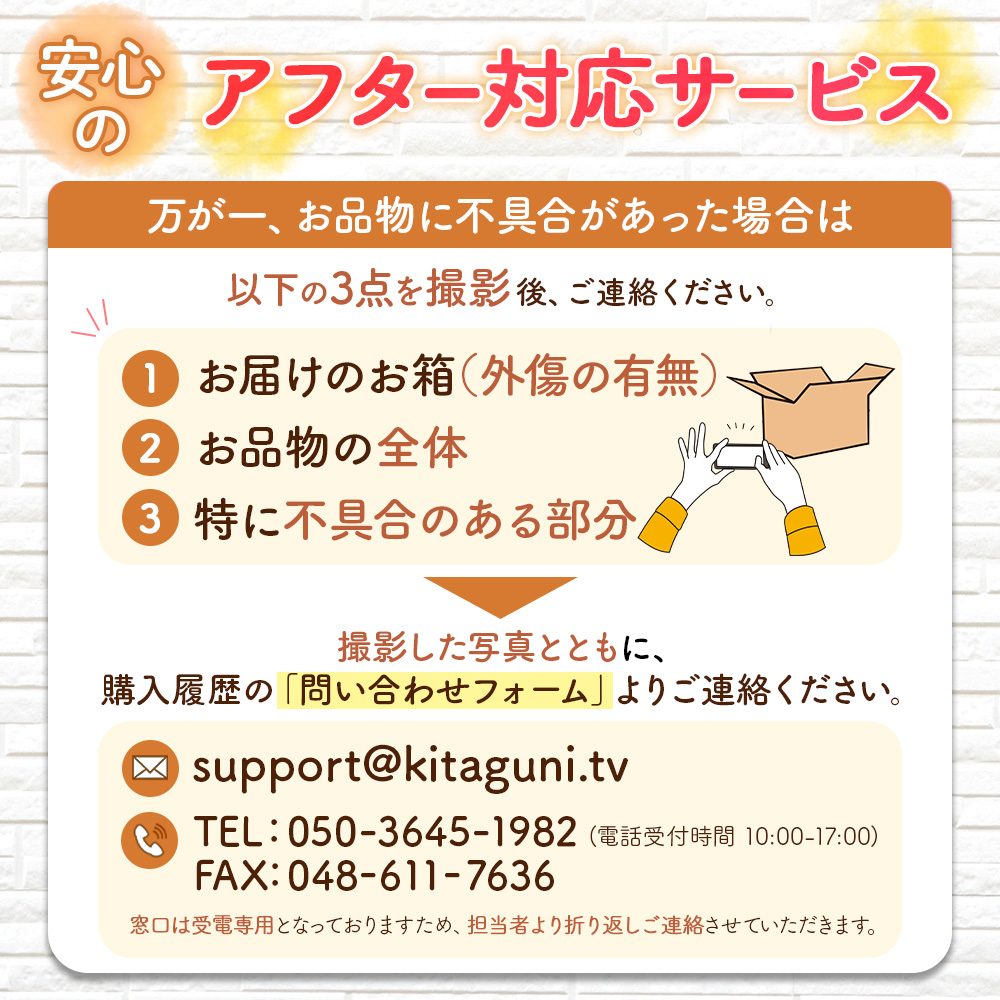 北海道 カレー スープカレー セット 10食(チキンレッグ/南家/天竺/ランダム各2食)業務用 カレー レトルト食品 | 北国からの贈り物 | 15