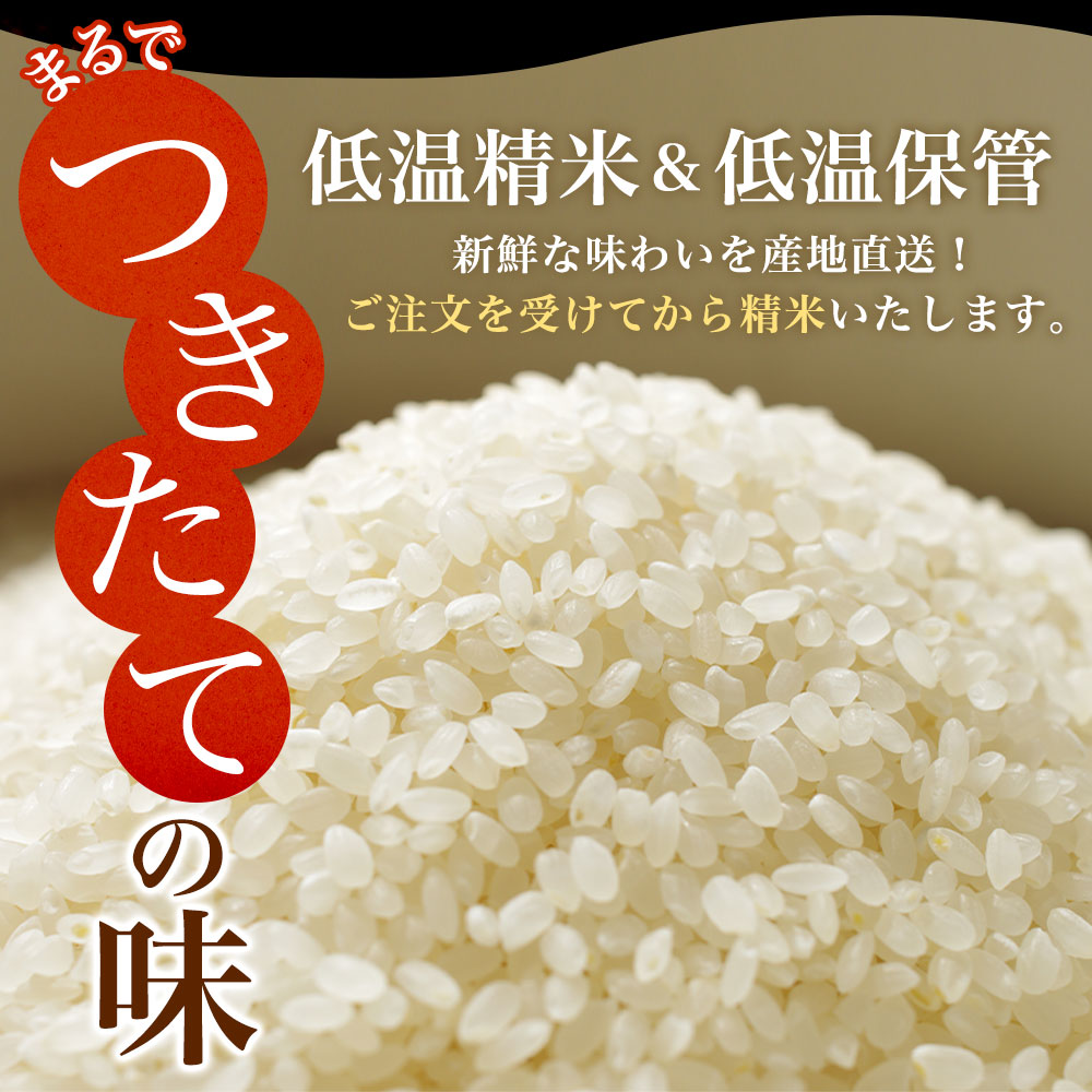 星空舞 米の商品一覧 通販 - Yahoo!ショッピング
