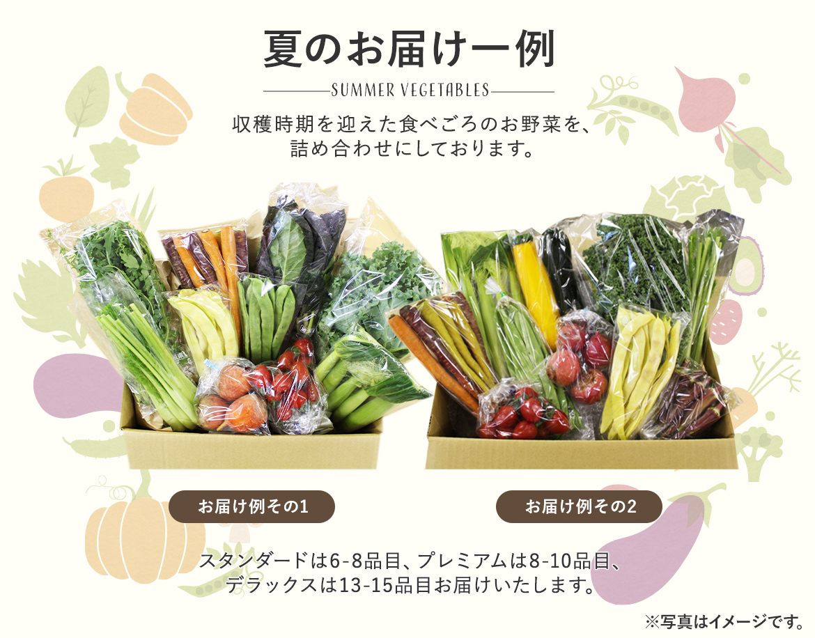 夏のお届け一例