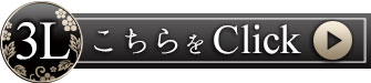 3Lサイズはこちら