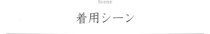 シーンタイトル