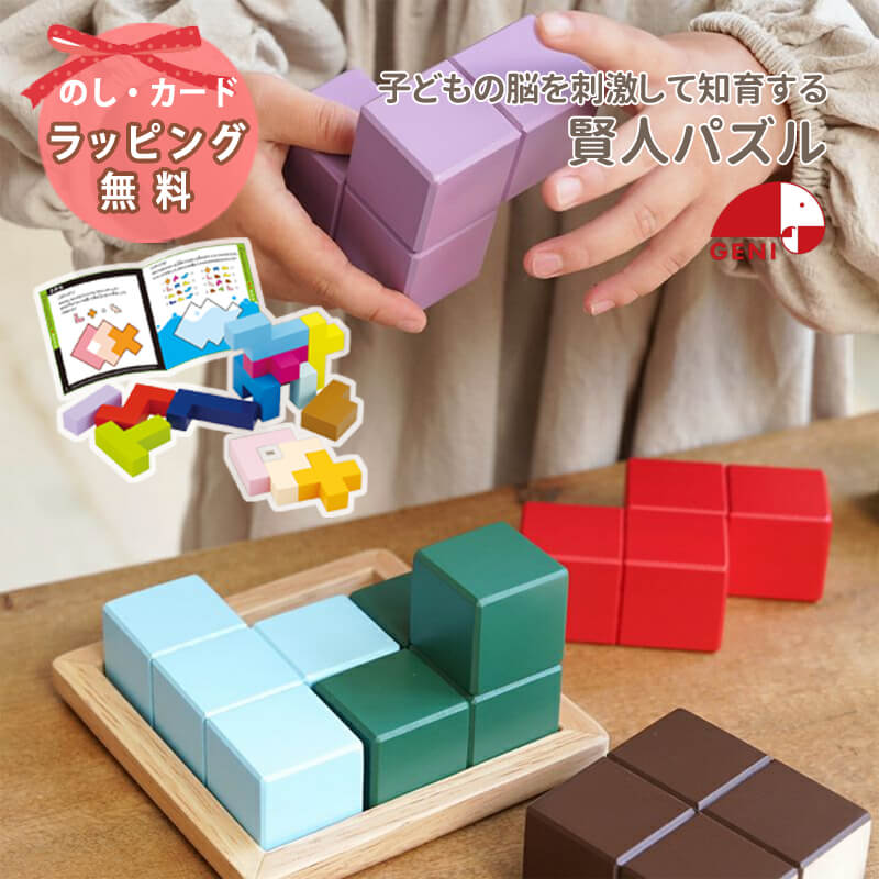 エド・インター（Ed・Inter） 知育玩具 賢人パズル 木 おもちゃ 木育
