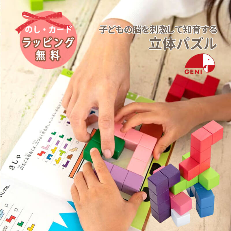 エド・インター（Ed・Inter） 知育玩具 立体パズル 木のおもちゃ