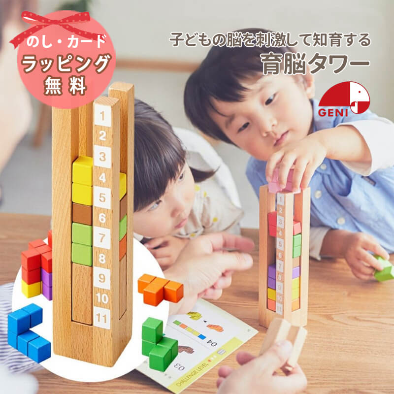 エド・インター（Ed・Inter） 育脳タワー 知育玩具 木のおもちゃ