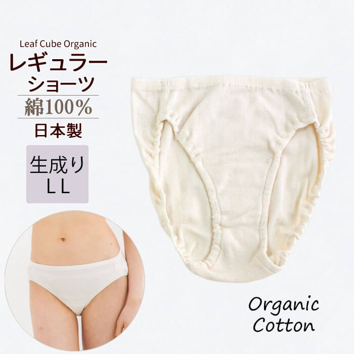 ショーツ LLサイズ レディース 綿100% オーガニックコットン