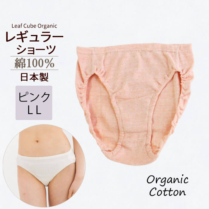 ショーツ LLサイズ レディース 綿100% オーガニックコットン