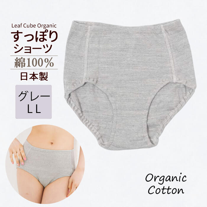 5950円 送料込み/樹脂製ボディー採用/あえて高さ50cmのLOW BACK