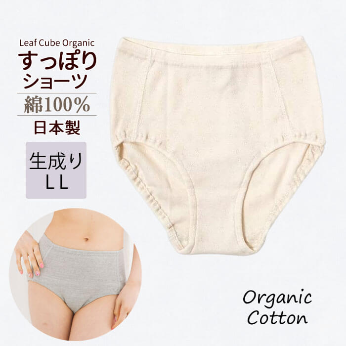綿100% ショーツ レディース オーガニックコットン 下着