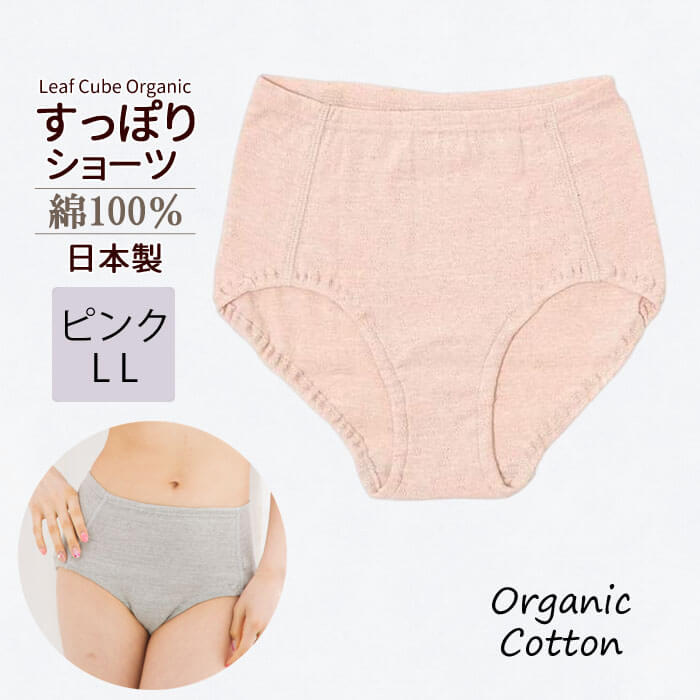 5950円 送料込み/樹脂製ボディー採用/あえて高さ50cmのLOW BACK
