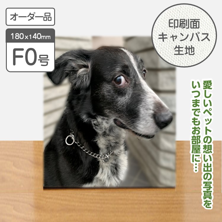 メモリアルキャンバスF0