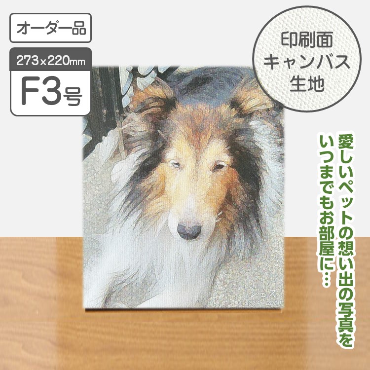 メモリアルキャンバスF3