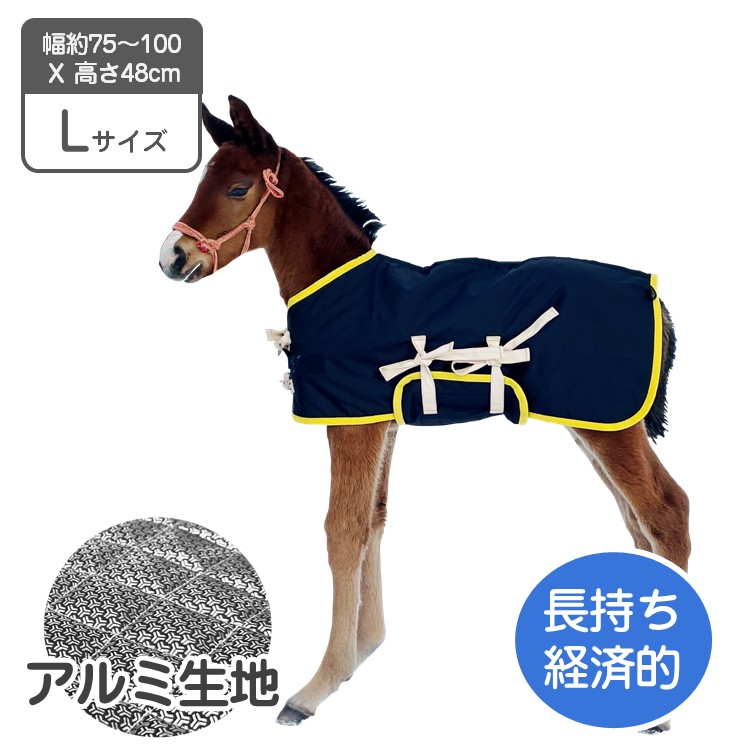当歳 馬服 Sサイズ 腹当て付き 裏面アルミ キルティング 子馬 仔馬