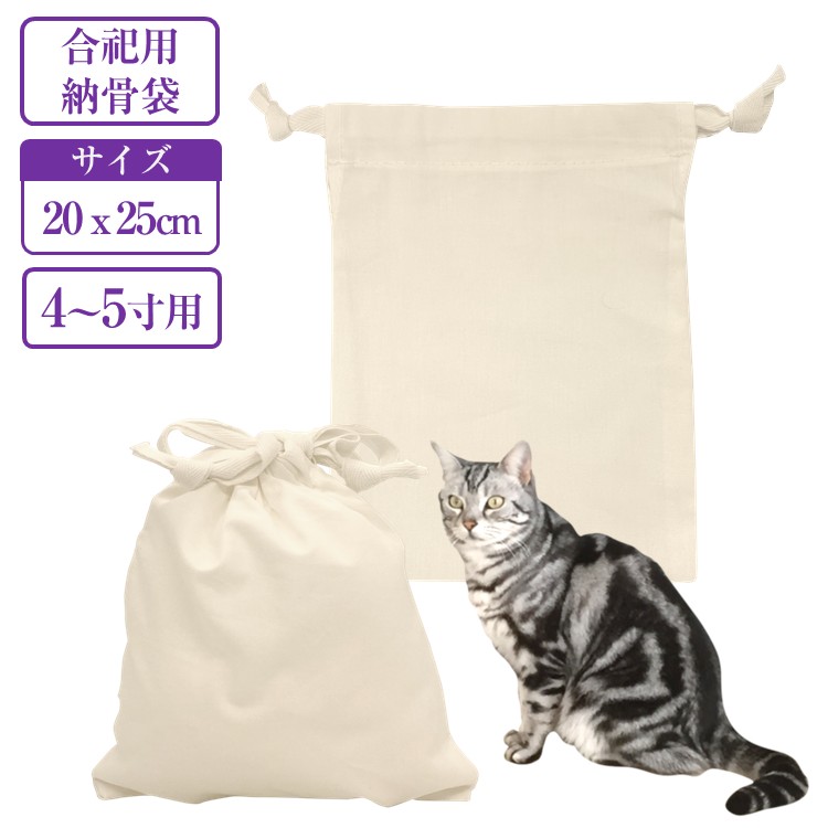 mサムネ