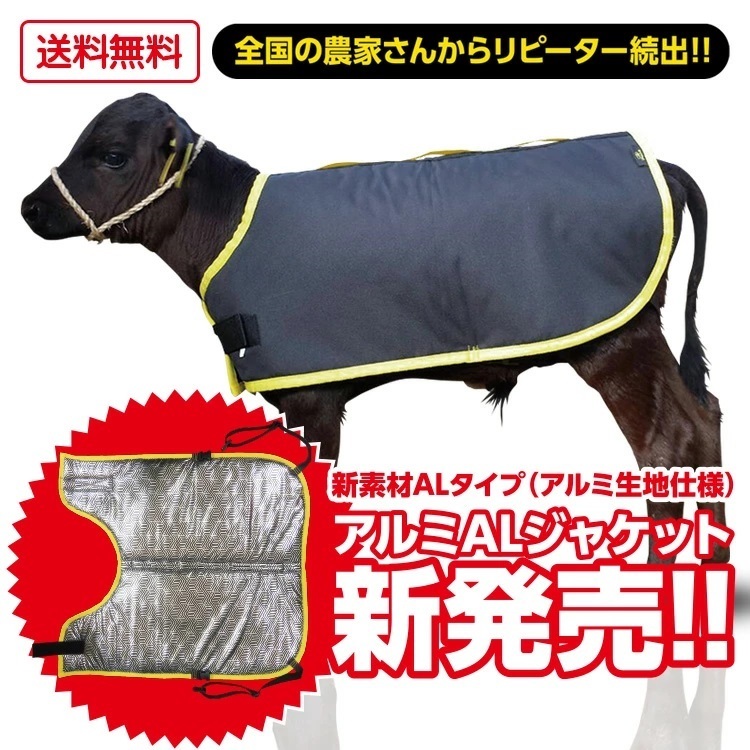 タイトル画像