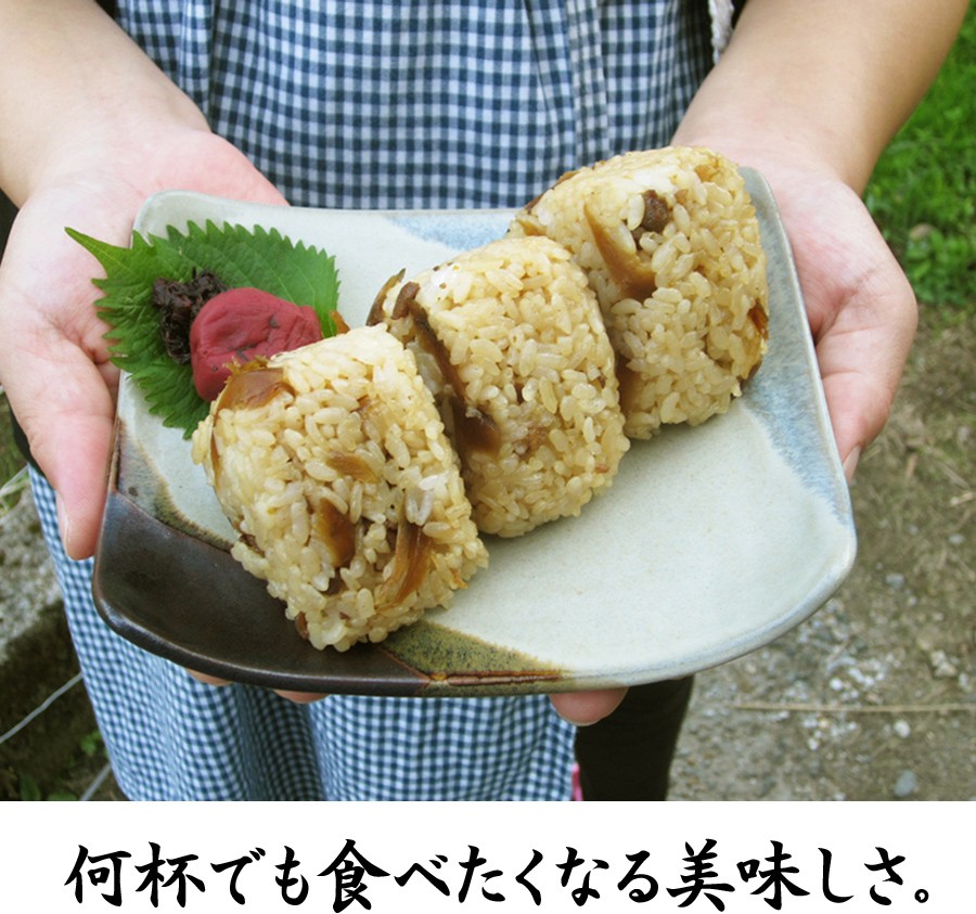 鶏めしの素 米3合用 2袋セット 出来上がったご飯に混ぜるだけ 国産 送料無料セール :torimeshi-m10:ワタショク便 - 通販 -  Yahoo!ショッピング