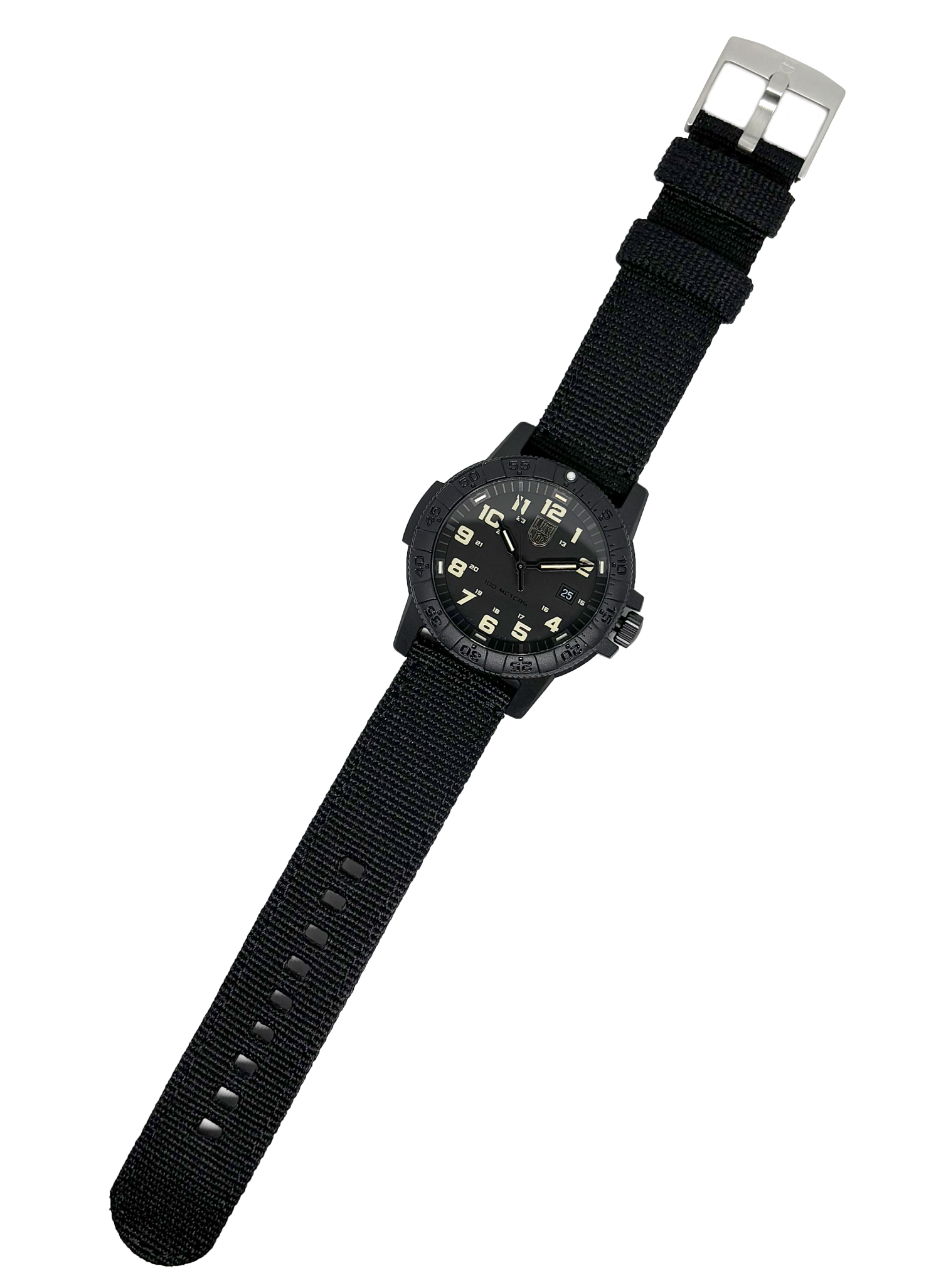 LUMINOX（ルミノックス） 【即納】LUMINOX LEATHERBACK SEA TURTLE