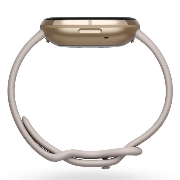 Google Fitbit フィットビット スマートウォッチ 腕時計 センス FITBIT